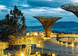 Entoto-Natural-Park-Addis-Ababa-Icon Entoto Natural Park Addis Ababa