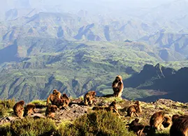 Sona highlands