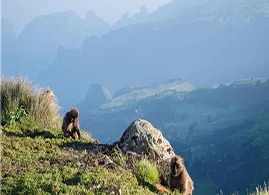 Simien Mountains Simien Mountains