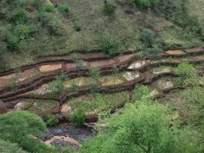 Konso Cultural Landscape