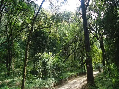 Menagesha Suba Park