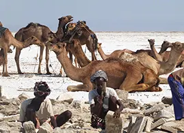 Ragad (Asebo) I1 Ragad (Asebo)